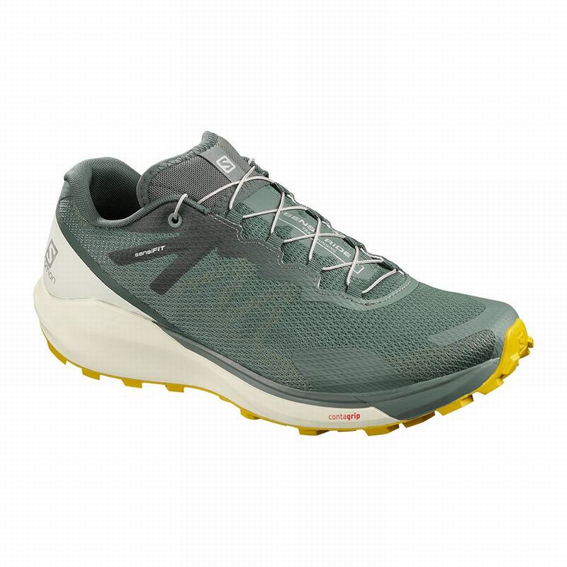 Zapatillas De Running Salomon Hombre Verde Oliva - Salomon Argentina SENSE RIDE 3 ,385270-NDQ